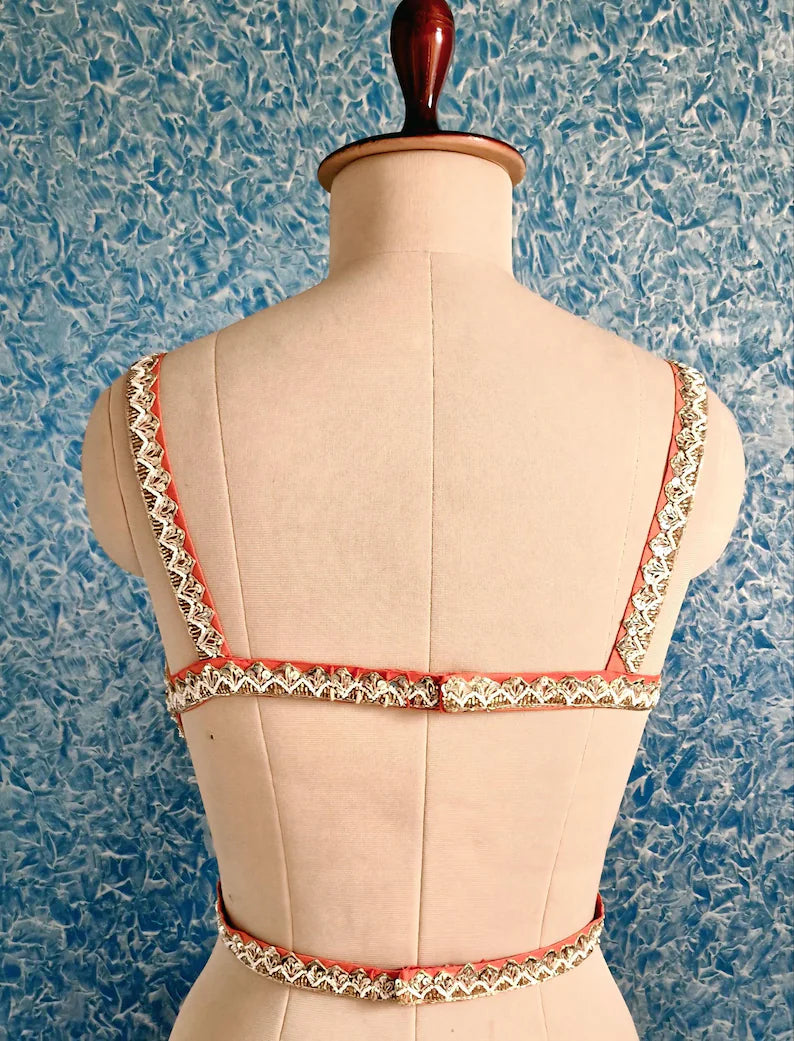 Hand Embroidered Coral Raw Silk Indian Saree Blouse, Sleeveless Backless DVBL_495